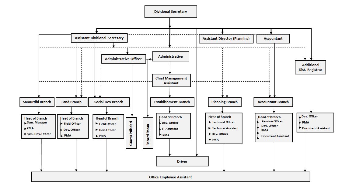 image Org. Chart En